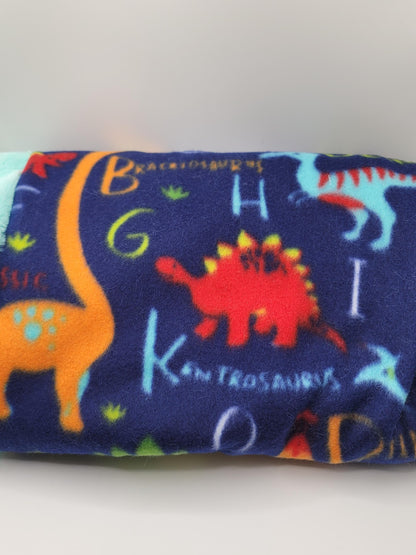 Dinosaur Roar Blanket Bundle Set/ Rare Burp Cloth Set/ New Parents Gift/ Gender Neutral Gift/ Faux Fur Throw/ Fleece Covering/ Play Mat